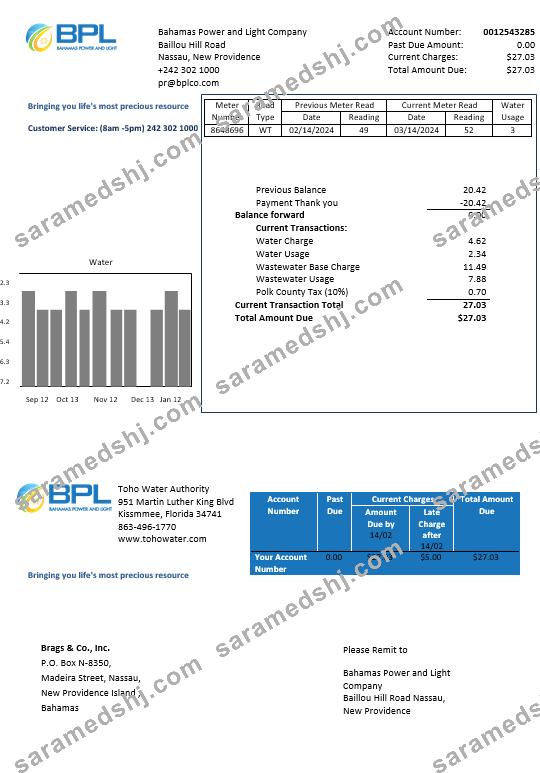 Bahamas Power and Light Company business utility bill template in Word and PDF format